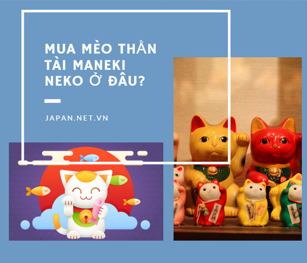 Mua mèo thần tài Maneki Neko ở đâu?