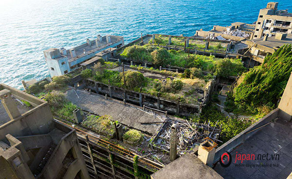 Sự thật về đảo ma Hashima, đảo địa ngục giữa biển Nhật Bản