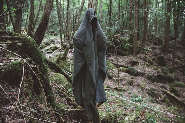 Hướng dẫn đến Aokihara, khu rừng tự sát ở Nhật Bản