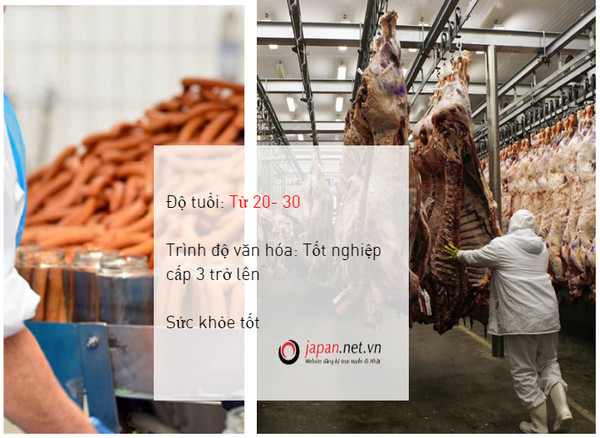 Đơn hàng chế biến thịt nguội lương cao tại Hokkaido Nhật Bản