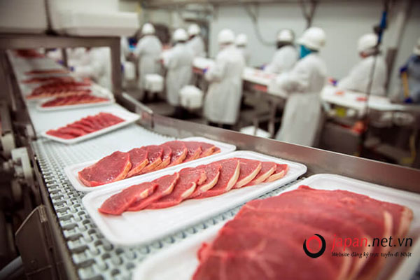 Đơn hàng chế biến thịt nguội lương cao tại Hokkaido Nhật Bản
