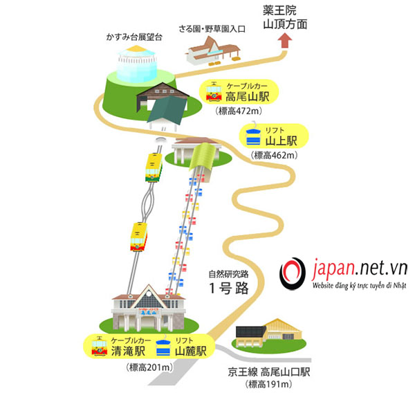 Bạn đã biết cách đi đến núi takao ngắm lá đỏ mùa thu này