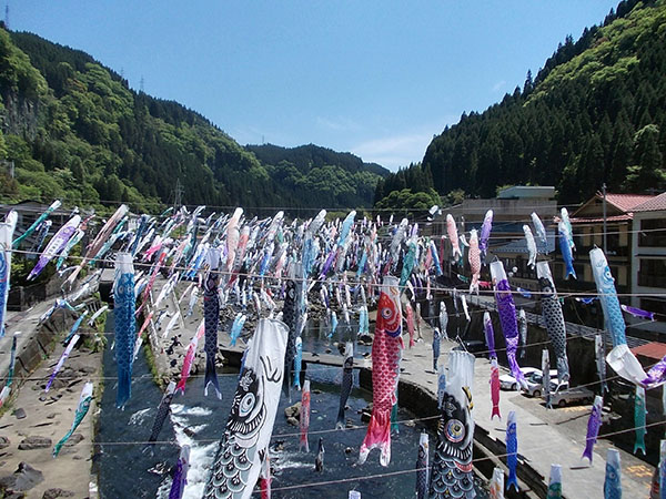 Koinobori- Lễ hội cờ cá chép dành riêng cho bé trai Nhật Bản