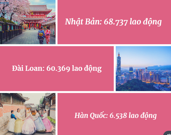 Vượt qua Đài Loan, Nhật Bản là nước có số lượng lao động Việt đi XKLĐ nhiều nhất