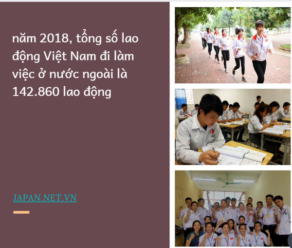 Vượt qua Đài Loan, Nhật Bản là nước có số lượng lao động Việt đi XKLĐ nhiều nhất