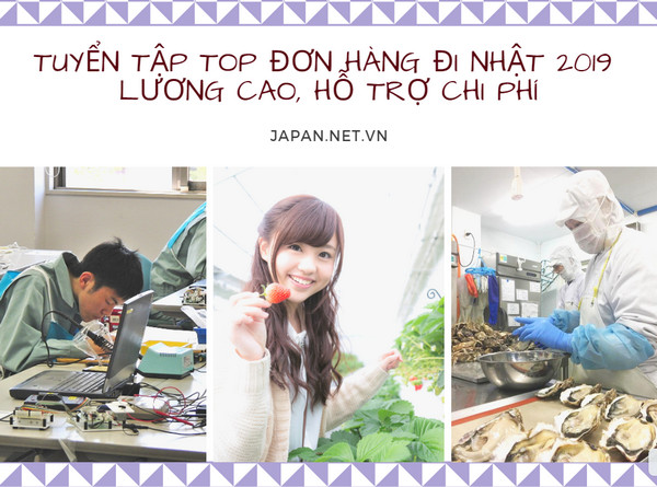 Tuyển tập TOP đơn hàng đi nhật 2019 LƯƠNG CAO, hỗ trợ chi phí