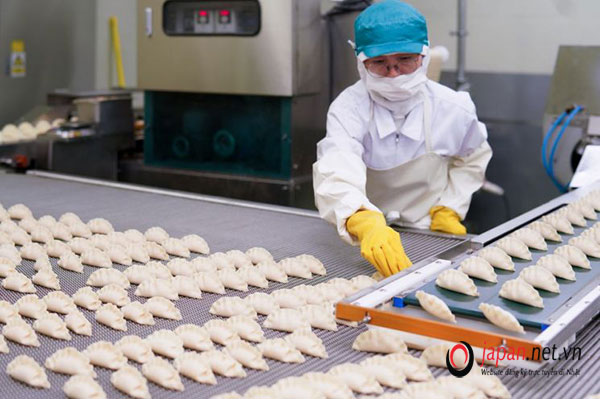 Đơn hàng làm bánh bao tại Gifu “VIP” lương cao, tuyển số lượng han chế.