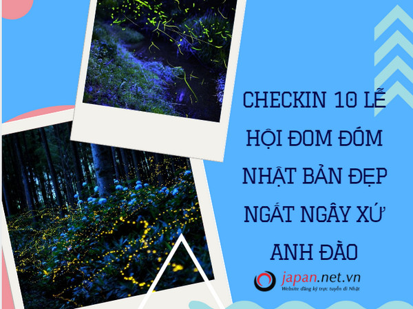 Checkin 10 lễ hội đom đóm Nhật Bản đẹp ngất ngây xứ anh đào