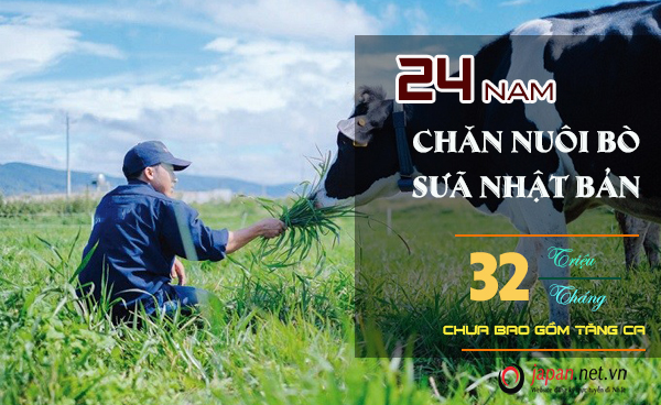 TUYỂN GẤP!!! Đơn hàng chăn nuôi bò sữa tại Nagano, cam kết làm thêm nhiều