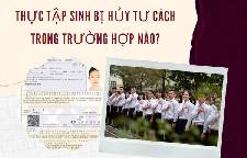Thực tập sinh bị hủy tư cách trong trường hợp nào?